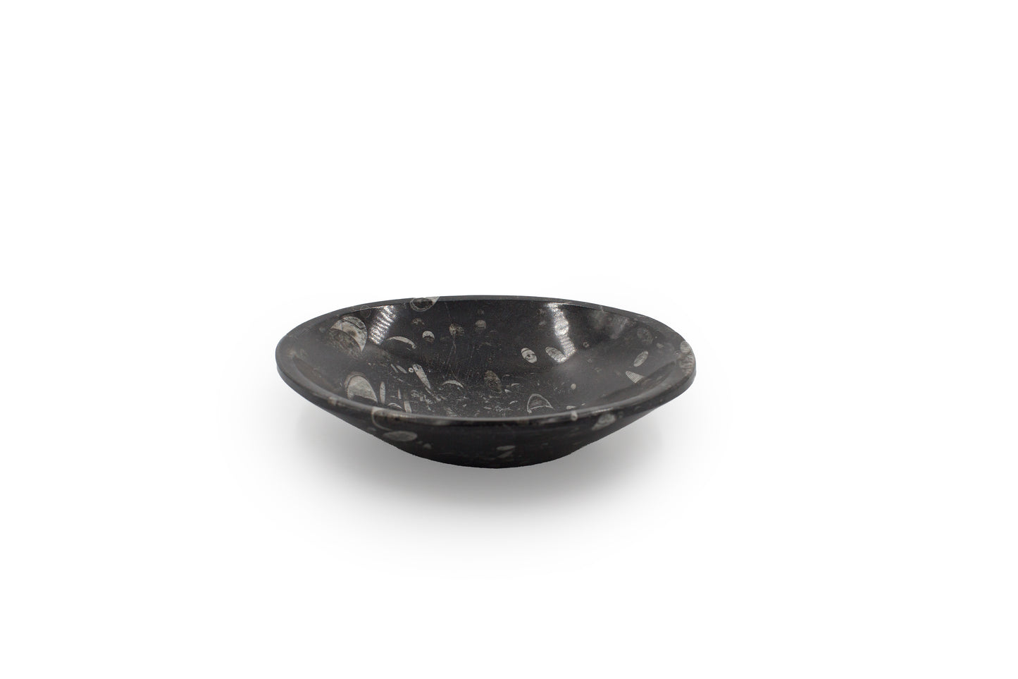 Goniatite Bowl