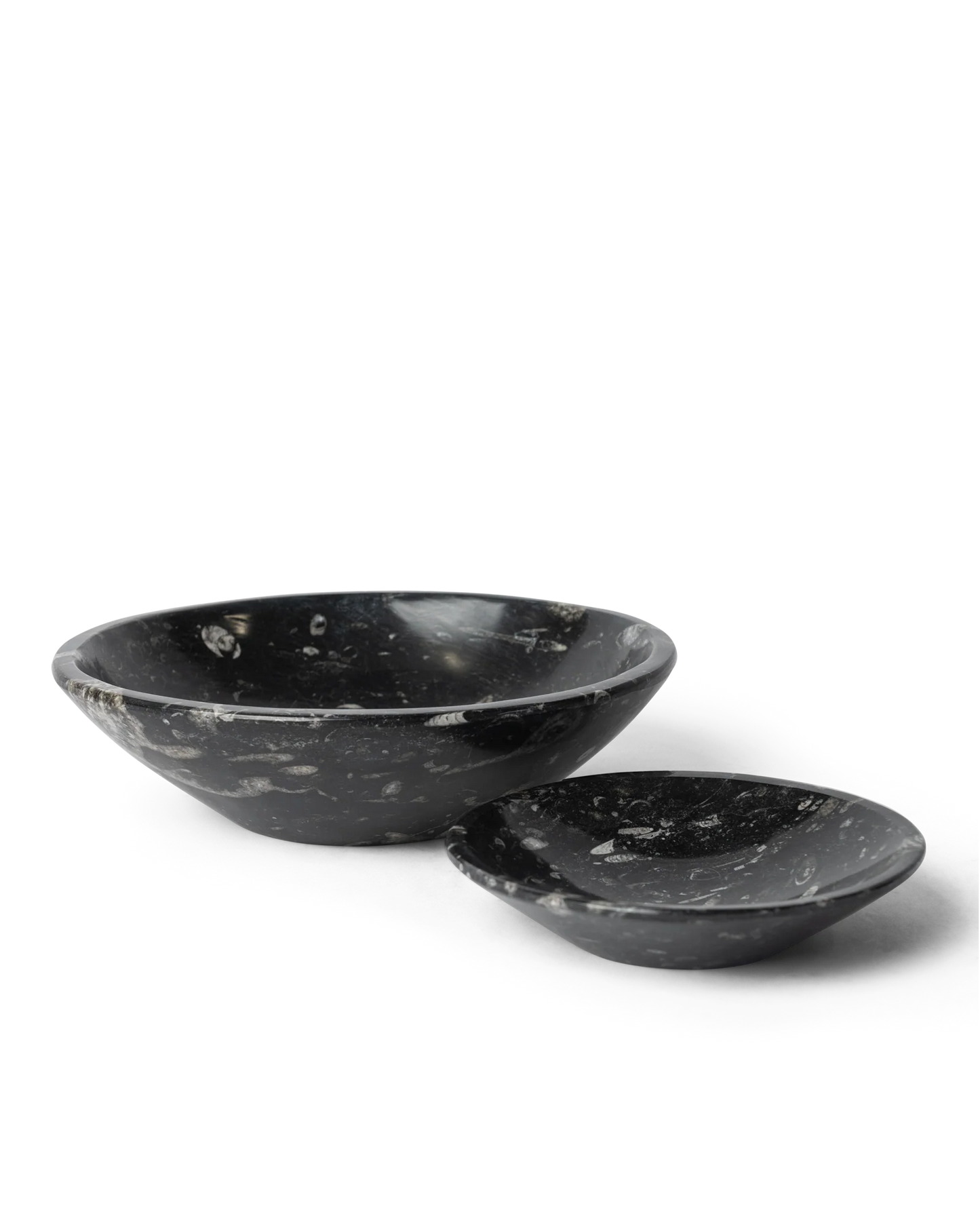 Goniatite Bowl