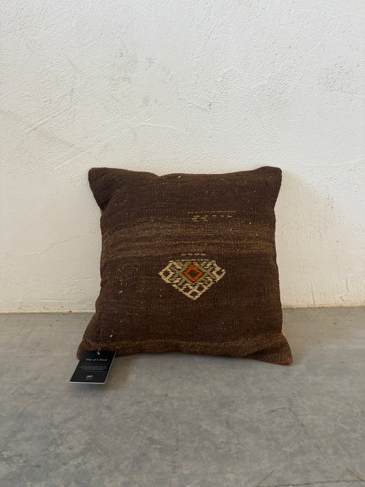 One of a kind 20x20 pillow