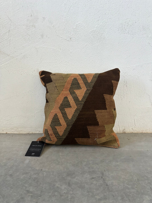 One of a kind 20x20 pillow
