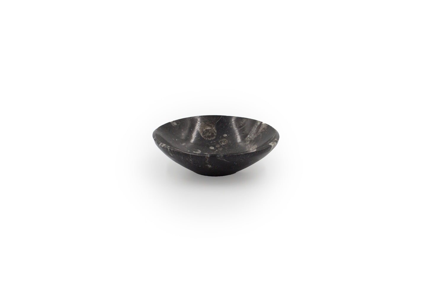 Goniatite Bowl