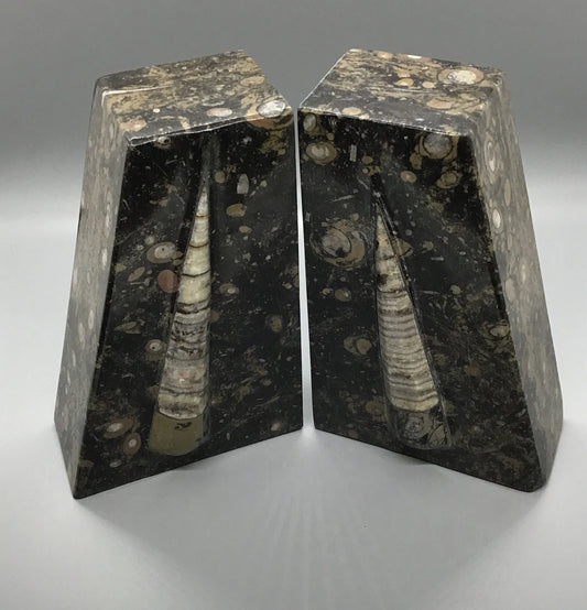 Orthoceras Bookend Pair