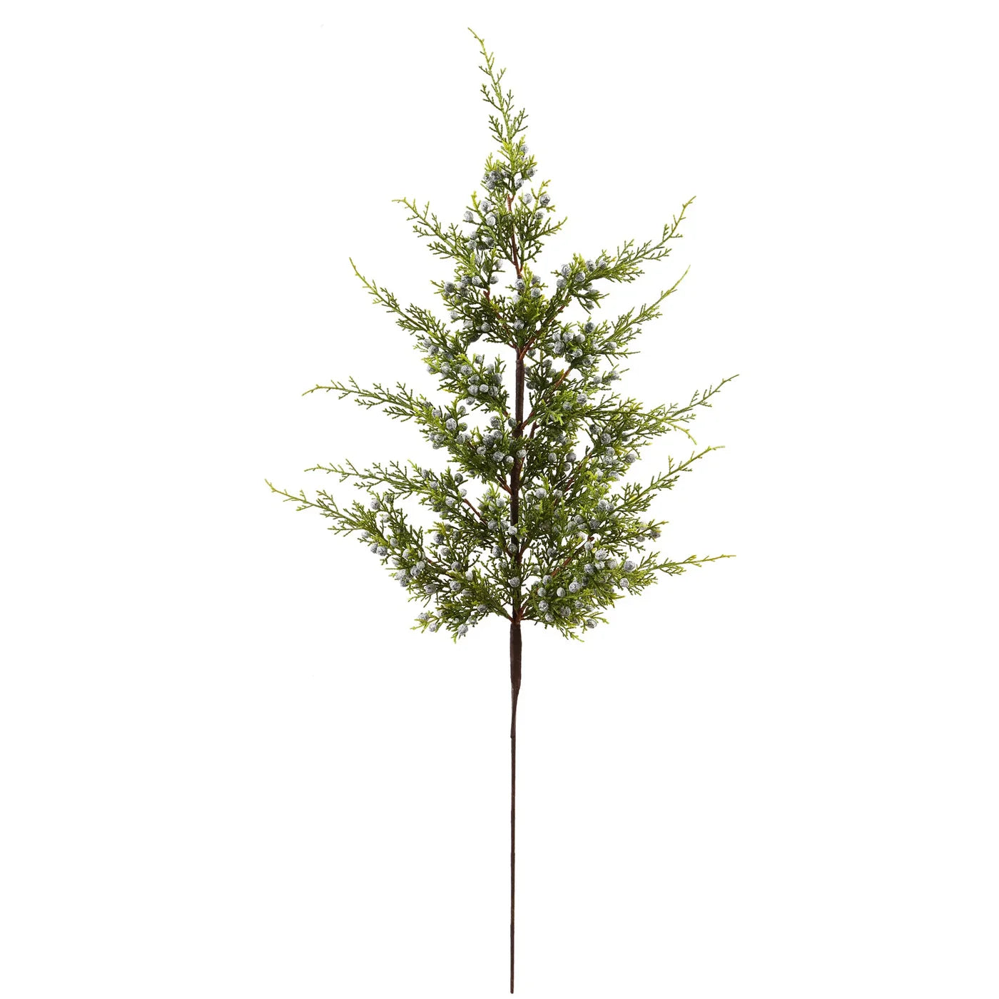 Juniper Branch 30''