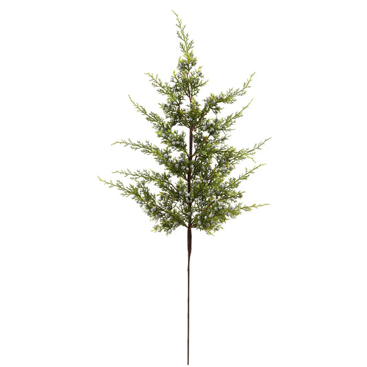 Juniper Branch 30''