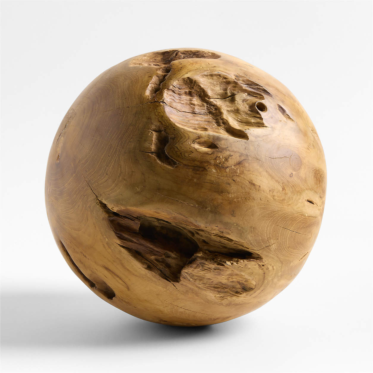 Teak Root Ball